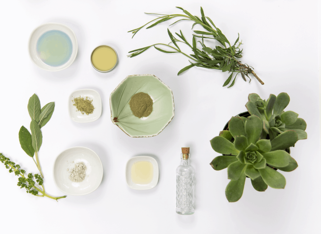 Flatlay of plants, extracts and botanical skincare ingredients.