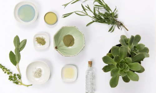 Flatlay of plants, extracts and botanical skincare ingredients.