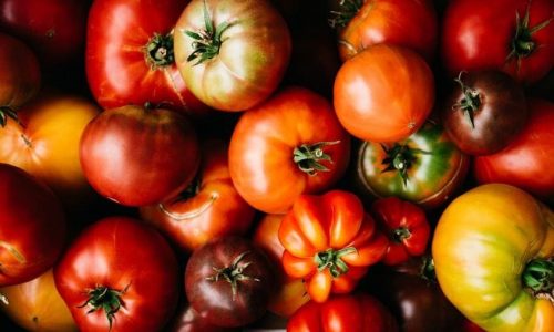 Tomatoes.jpg
